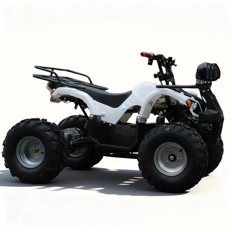 Kids Outdoor Electric Quad - 750W 48V Kinder-Elektro-ATV Quad 4-Rad, Automatischer