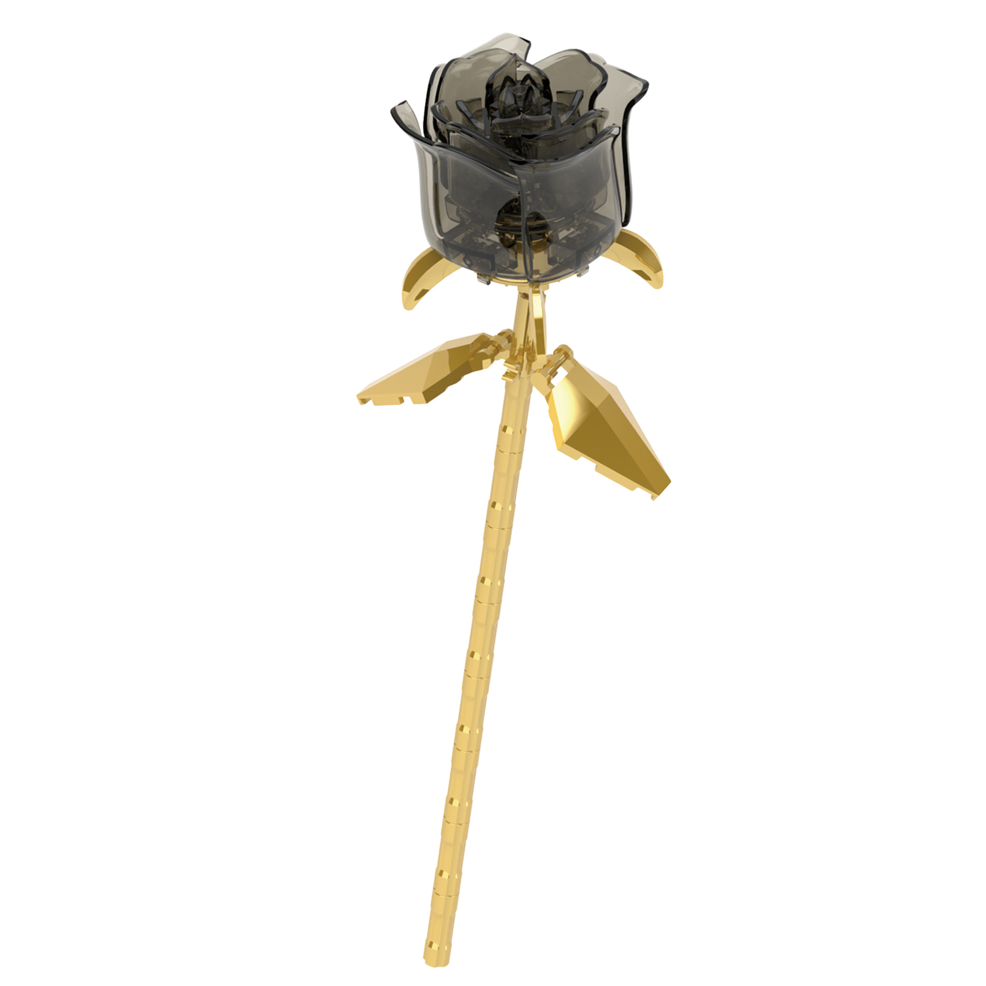 DIY Rosa Schwarz Gold Rosen Na – Kids Outdoor Movie Night Bewertung und Preis