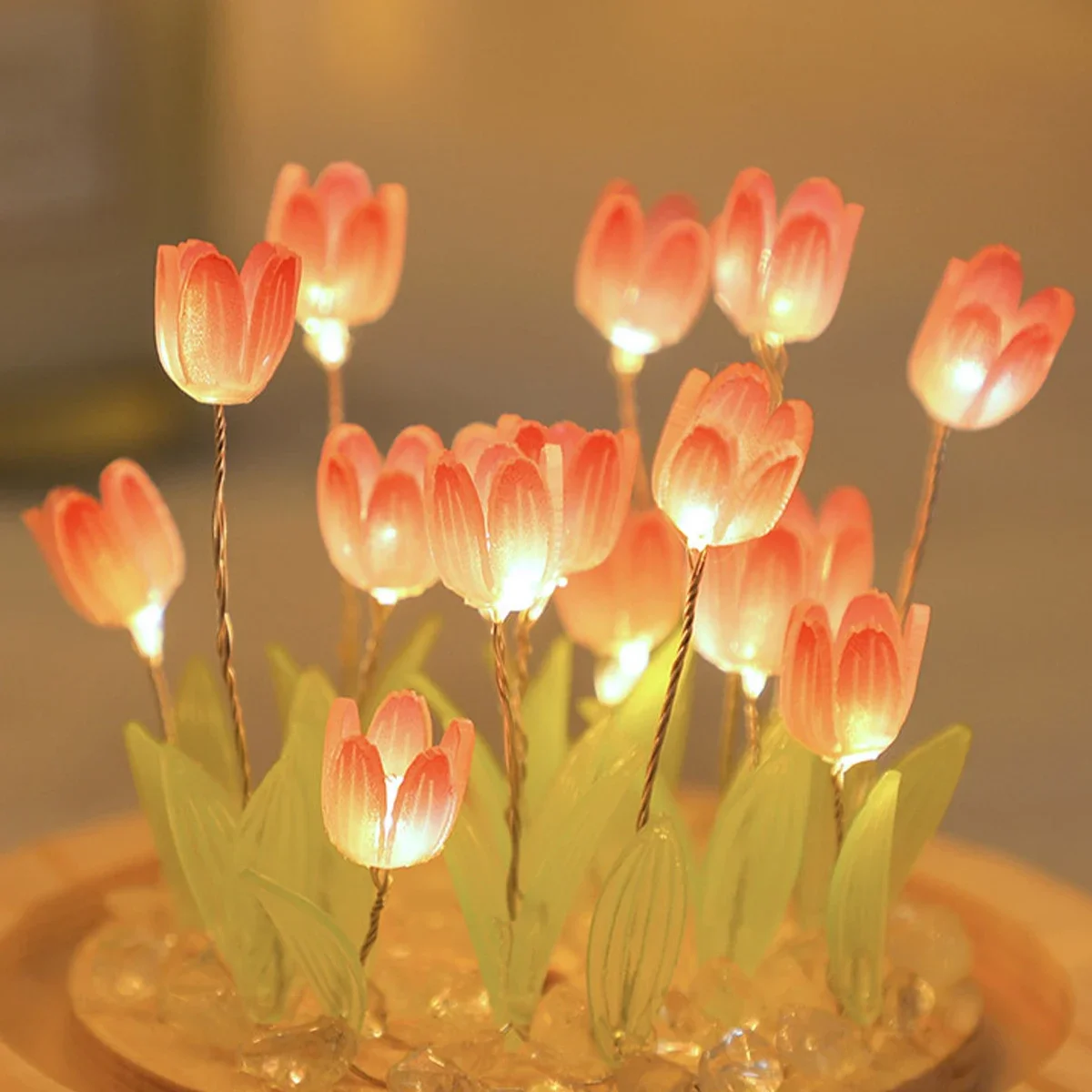 LED DIY Handgemachte Mini-Tulp – Kids Outdoor Movie Night Bewertung und Preis