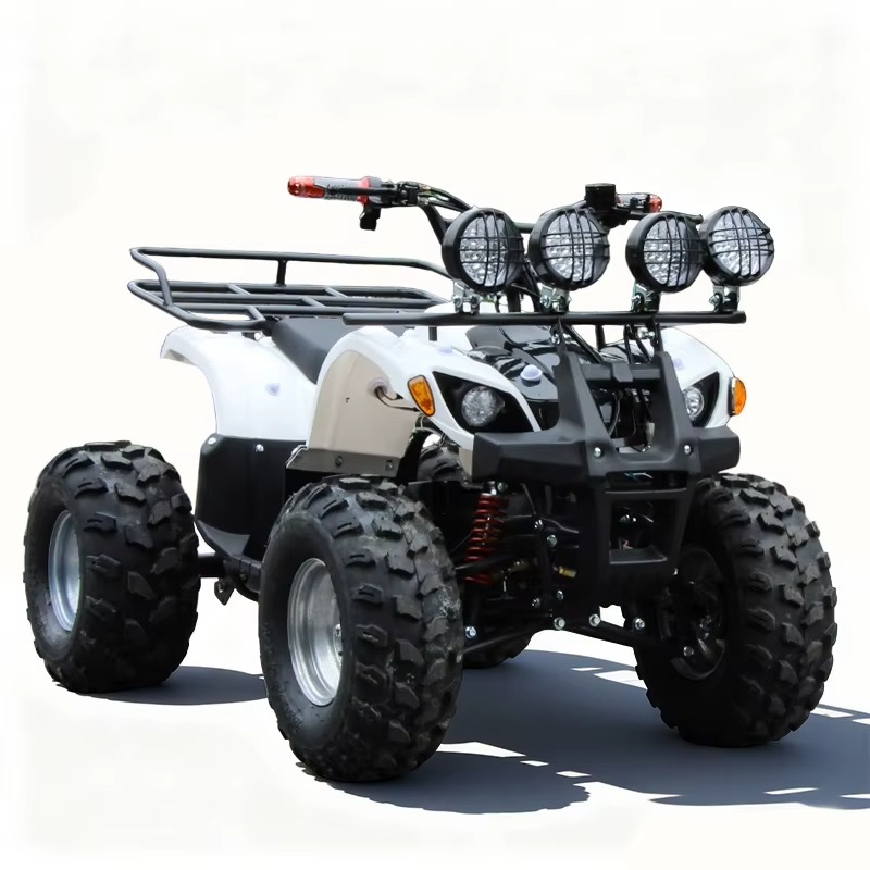 750W 48V Kinder-Elektro-ATV Qu – Kids Outdoor Electric Quad Bewertung und Preis