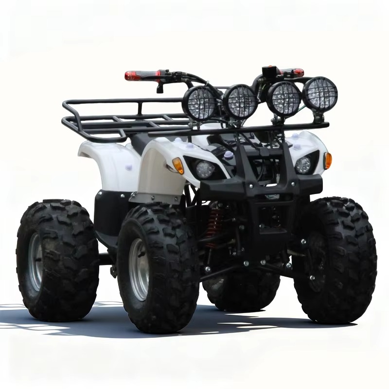 750W 48V Kinder-Elektro-ATV Qu – Kids Outdoor Electric Quad Bewertung und Preis