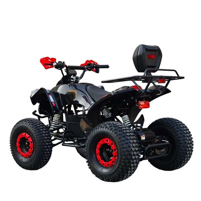 Elektrisches ATV-Quad mit Kard – Kids Outdoor Electric Quad Bewertung und Preis