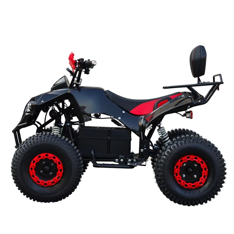 Elektrisches ATV-Quad mit Kard – Kids Outdoor Electric Quad Bewertung und Preis