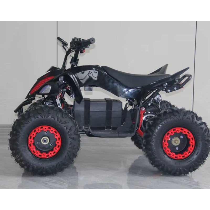 48V 1000W Elektrisches Kinder- – Kids Outdoor Electric Quad Bewertung und Preis