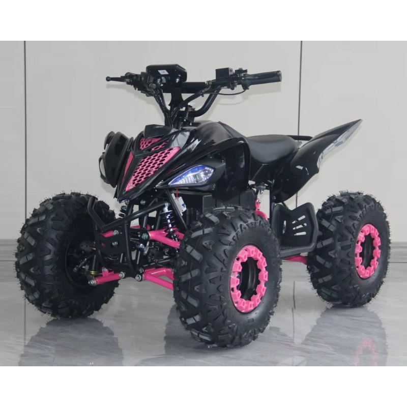 48V 1000W Elektrisches Kinder- – Kids Outdoor Electric Quad Bewertung und Preis